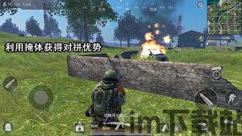 掩体 (图1) 掩体 (图1)