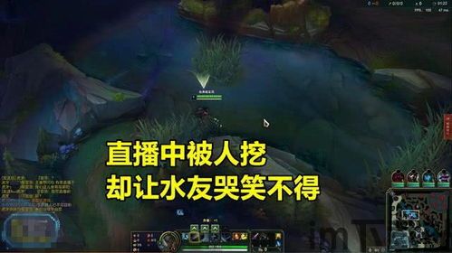 这是什么梗小游戏手机版2024下载安装官方版 (图3) 这是什么梗小游戏手机版2024下载安装官方版 (图3)