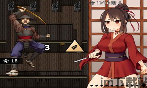 女忍者无,从传统到现代的演变与挑战(图1)