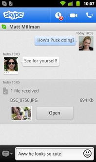 skype上线时间如何取消,从诞生到风靡全球的通信传奇(图3) skype上线时间如何取消,从诞生到风靡全球的通信传奇(图3)