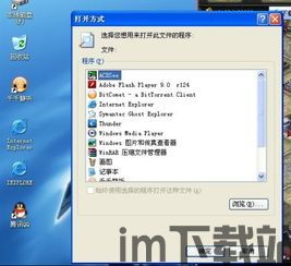 skype打不开跟ie,解决Skype无法打开与IE兼容性问题指南(图3) skype打不开跟ie,解决Skype无法打开与IE兼容性问题指南(图3)