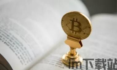 比特币dcg创始人,超越加密初创公司(图1) 比特币dcg创始人,超越加密初创公司(图1)