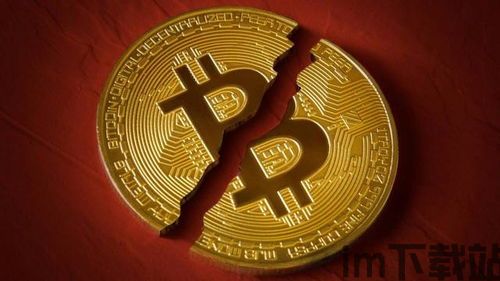 比特币最初发行的价格,从微不足道到价值连城的货币传奇(图2) 比特币最初发行的价格,从微不足道到价值连城的货币传奇(图2)