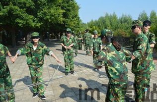 精鑫拓展 (图2) 精鑫拓展 (图2)
