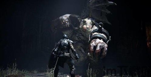 恶魔之魂重制版 徐晃引擎,徐晃引擎下的黑暗奇幻之旅(图2) 恶魔之魂重制版 徐晃引擎,徐晃引擎下的黑暗奇幻之旅(图2)