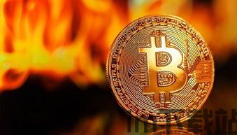 哪儿可以加工银比特币,技术、市场与未来展望(图3) 哪儿可以加工银比特币,技术、市场与未来展望(图3)