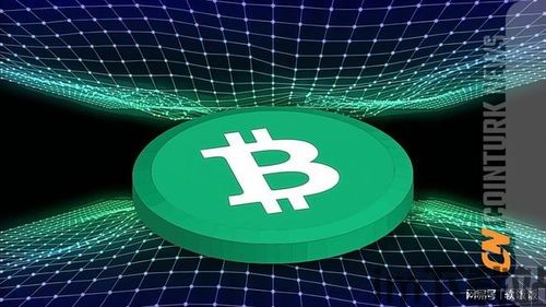 比特币风险具体有什么,揭秘加密货币市场的潜在危机(图3) 比特币风险具体有什么,揭秘加密货币市场的潜在危机(图3)