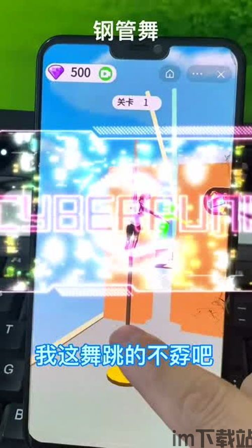 钢管舞者 (图2) 钢管舞者 (图2)