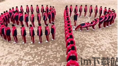 跳高团队 (图1) 跳高团队 (图1)