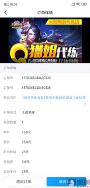 游戏代练接单 (图3) 游戏代练接单 (图3)