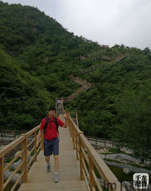 炭峰战技,武术瑰宝的复兴之路(图2)
