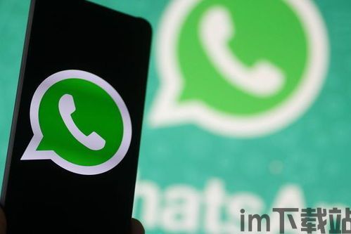 知道对方手机号能加whatsapp吗,揭秘如何轻松添加联系人(图2) 知道对方手机号能加whatsapp吗,揭秘如何轻松添加联系人(图2)