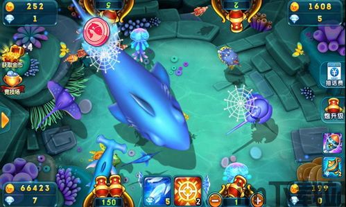 鲨鱼游戏交易 (图1)
