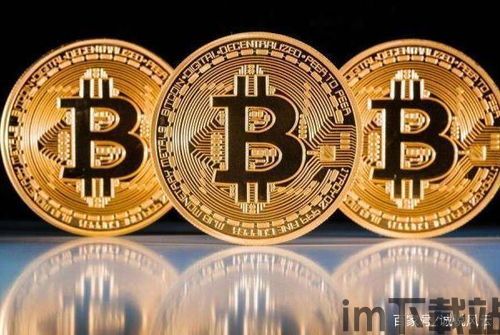 比特币在国外的应用,跨越国界的数字货币浪潮(图1) 比特币在国外的应用,跨越国界的数字货币浪潮(图1)