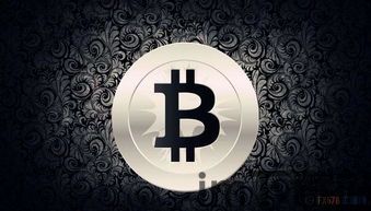 比特币在国外的应用,跨越国界的数字货币浪潮(图2) 比特币在国外的应用,跨越国界的数字货币浪潮(图2)