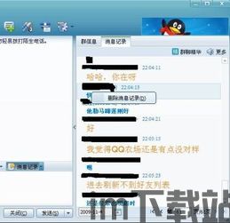skype不可以删除聊天信息吗,Skype聊天信息无法删除之谜揭秘(图3)