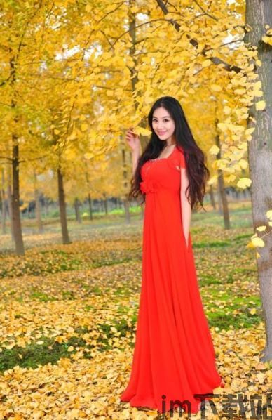 aiyangpaolong,探索智能时代的无限可能(图1) aiyangpaolong,探索智能时代的无限可能(图1)