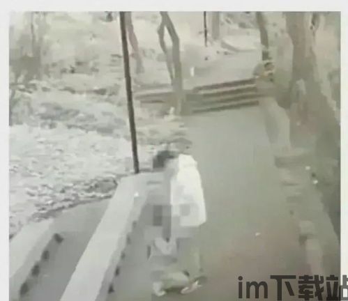 公园情侣不雅视频,公园情侣不雅视频引发社会热议(图3) 公园情侣不雅视频,公园情侣不雅视频引发社会热议(图3)