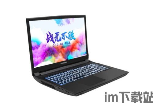 海上船舶舰队 (图1) 海上船舶舰队 (图1)