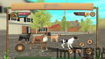 模拟小狗生存 (图2) 模拟小狗生存 (图2)