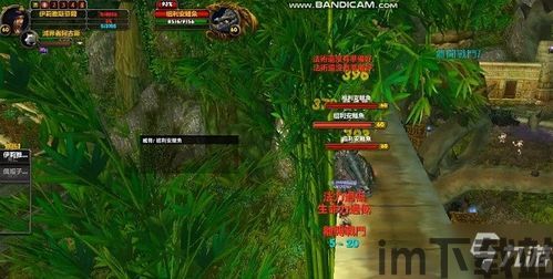 鲨鱼游戏交易 (图1)