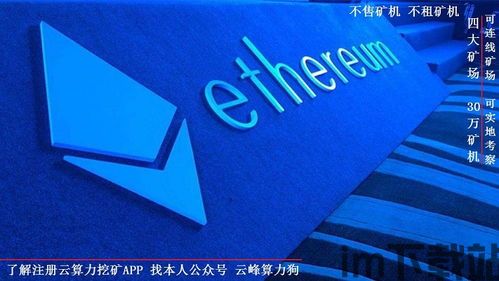 只囤比特币和以太坊,揭秘加密货币投资新趋势(图1) 只囤比特币和以太坊,揭秘加密货币投资新趋势(图1)
