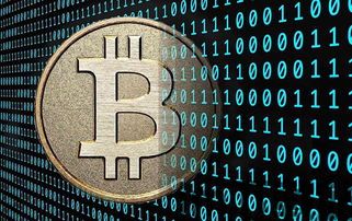 最早的加密货币,加密货币的鼻祖与数字货币革命的起点(图1) 最早的加密货币,加密货币的鼻祖与数字货币革命的起点(图1)