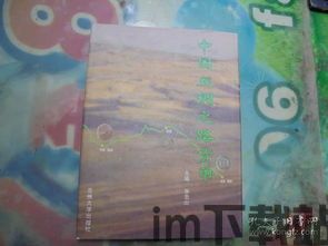 中国加密货币丝绸之路,中国加密货币的崛起与影响解析(图2) 中国加密货币丝绸之路,中国加密货币的崛起与影响解析(图2)