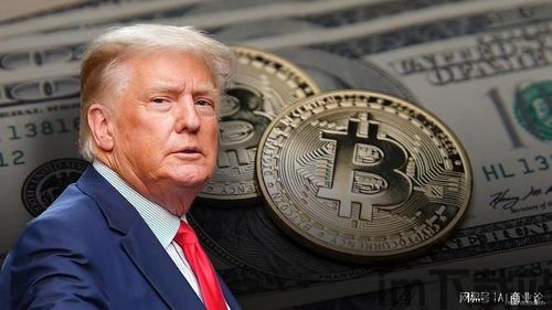 总统支持加密货币,未来金融新纪元?(图3) 总统支持加密货币,未来金融新纪元?(图3)