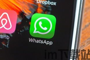skype和whatsapp哪个安全,揭秘哪个通讯工具更安全(图3)