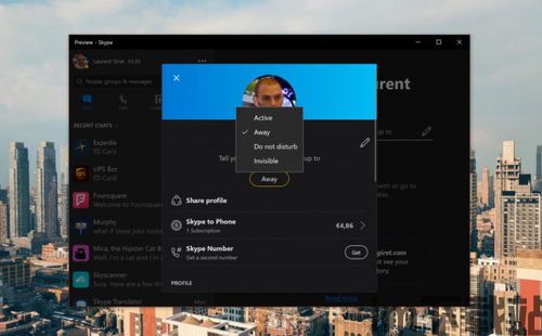 skype多个状态图标,多状态图标背后的沟通奥秘(图1) skype多个状态图标,多状态图标背后的沟通奥秘(图1)