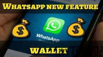 郑州whatsapp印度人聊天,跨文化友谊的桥梁(图3) 郑州whatsapp印度人聊天,跨文化友谊的桥梁(图3)