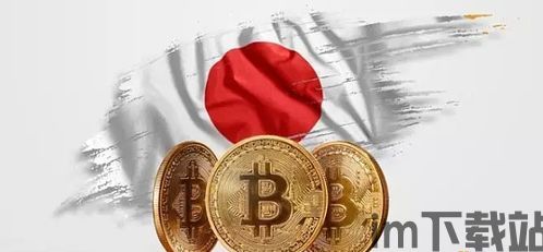 做国外市场的加密货币,全球视野下的加密货币市场布局与策略解析(图1) 做国外市场的加密货币,全球视野下的加密货币市场布局与策略解析(图1)