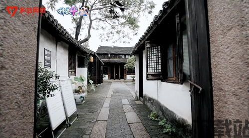 仓鼠村庄游戏最新版 (图3) 仓鼠村庄游戏最新版 (图3)