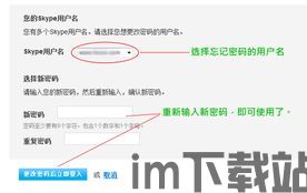skype密码重置页面,轻松找回账户安全(图3) skype密码重置页面,轻松找回账户安全(图3)