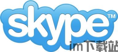 skype并购,Skype并购背后的战略布局与行业影响解析(图3) skype并购,Skype并购背后的战略布局与行业影响解析(图3)