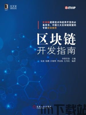 区块链开发指南,区块链技术深度解析与开发指南概览(图1)