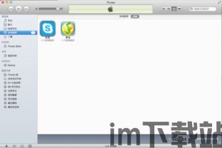 skype如何在苹果手机上使用,苹果手机上轻松使用Skype的指南(图3) skype如何在苹果手机上使用,苹果手机上轻松使用Skype的指南(图3)