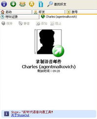 skype导入vcp,跨越沟通界限的便捷之旅(图2)