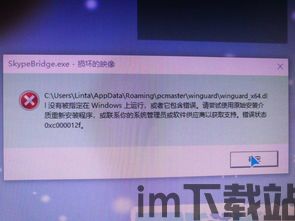skype出现错误代码,揭秘常见故障与解决方法(图2)