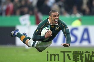 南非橄榄球世界杯,荣耀之战(图2)