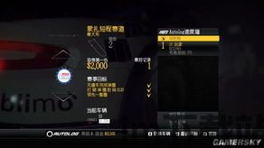 极品飞车15汉化补丁,汉化补丁助力畅享极限竞速盛宴(图3)