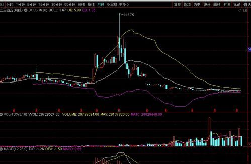 中国加密数字货币股票,市场动态与投资机遇解析(图1)