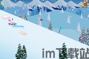 冬季运动雪橇 (图3)