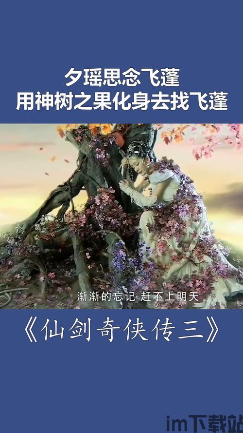 怀念传3,穿越时空的深情回望(图2) 怀念传3,穿越时空的深情回望(图2)