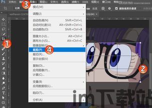 skype裁剪工具,打造个性化沟通体验(图1) skype裁剪工具,打造个性化沟通体验(图1)