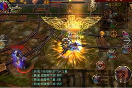 巨型网格 (图2) 巨型网格 (图2)