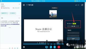 skype会议电话拨入怎么静音,Skype会议电话静音操作指南(图1)