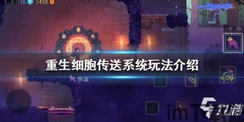 细胞传输游戏,探索生命奥秘的微观世界之旅(图1)