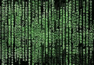 重庆加密货币诈骗案件,揭秘新型金融骗局(图3) 重庆加密货币诈骗案件,揭秘新型金融骗局(图3)